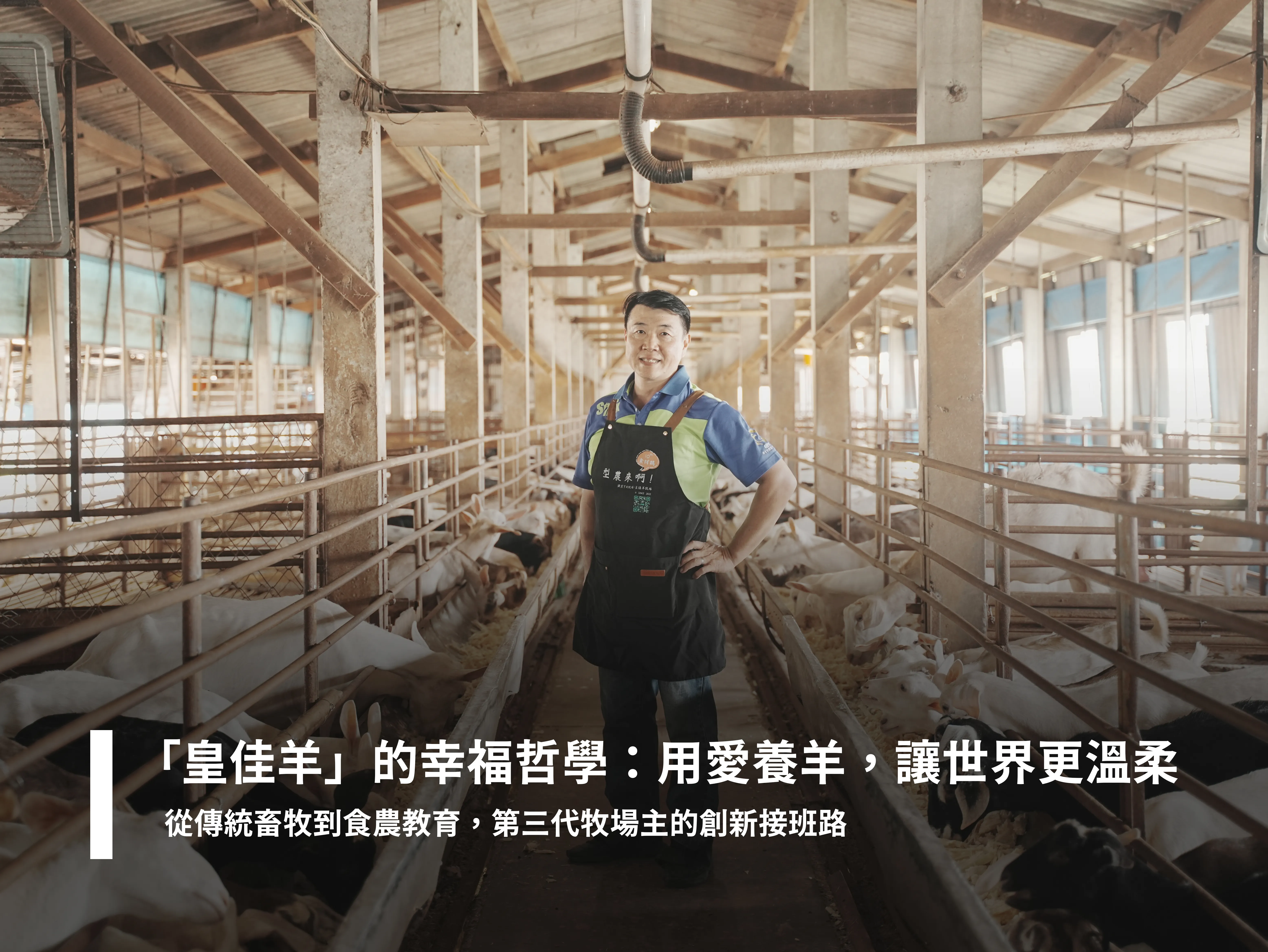「皇佳羊」的幸福哲學：用愛養羊，讓世界更溫柔 從傳統畜牧到食農教育，第三代牧場主的創新接班路